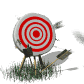 miss target